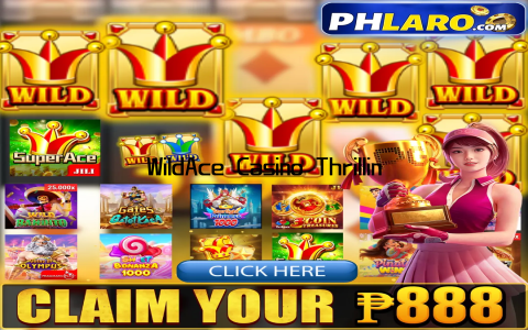 WildAce Casino Thrilling Games Big Wins Awaits